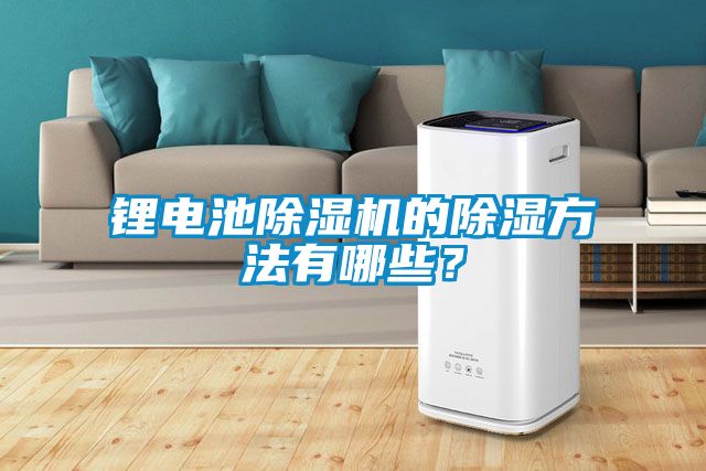 鋰電池除濕機(jī)的除濕方法有哪些？