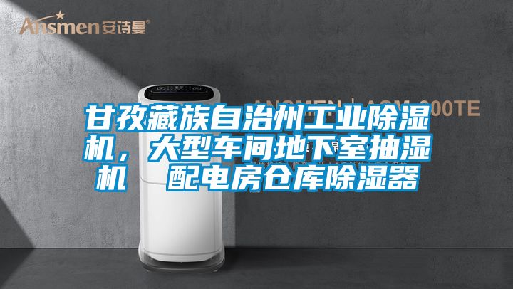 甘孜藏族自治州工業(yè)除濕機，大型車間地下室抽濕機  配電房倉庫除濕器