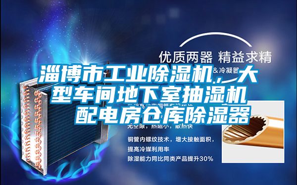 淄博市工業(yè)除濕機，大型車間地下室抽濕機  配電房倉庫除濕器