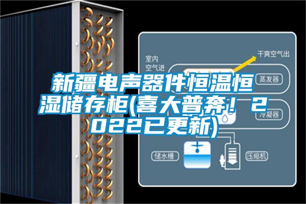 新疆電聲器件恒溫恒濕儲存柜(喜大普奔！2022已更新)