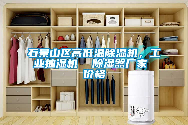 石景山區(qū)高低溫除濕機，工業(yè)抽濕機  除濕器廠家 價格