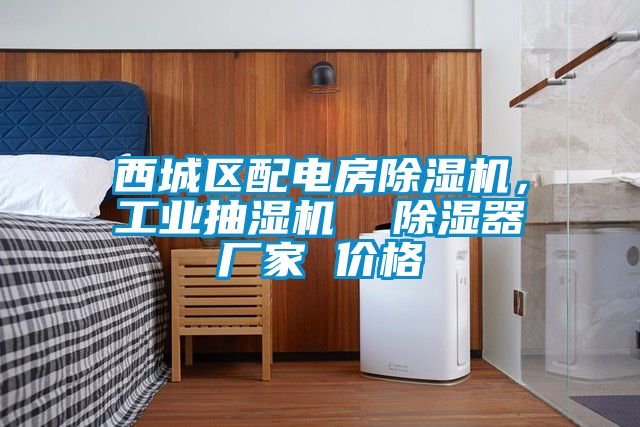 西城區(qū)配電房除濕機，工業(yè)抽濕機  除濕器廠家 價格