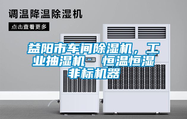 益陽市車間除濕機，工業(yè)抽濕機  恒溫恒濕非標機器