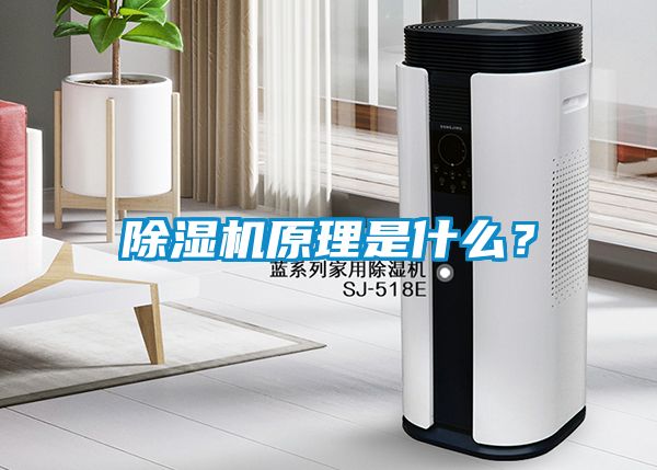 除濕機(jī)原理是什么？