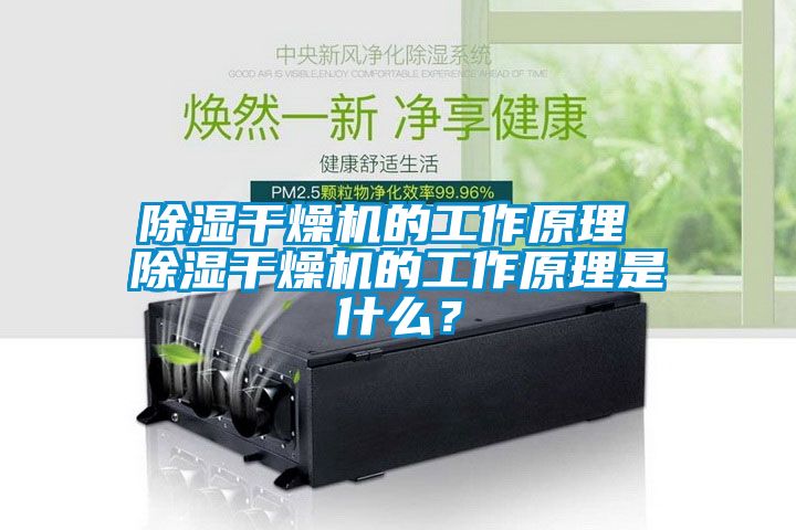 除濕干燥機(jī)的工作原理 除濕干燥機(jī)的工作原理是什么？