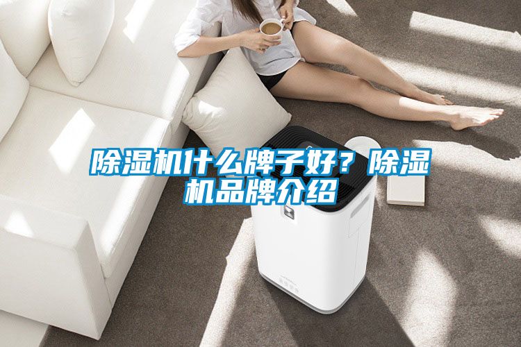 除濕機(jī)什么牌子好？除濕機(jī)品牌介紹