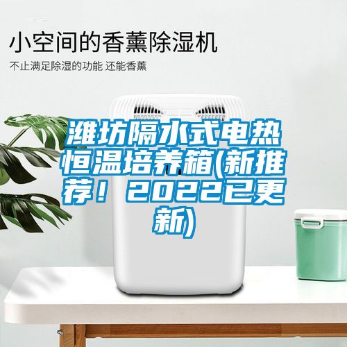 濰坊隔水式電熱恒溫培養(yǎng)箱(新推薦！2022已更新)