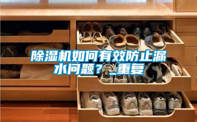 除濕機如何有效防止漏水問題？_重復