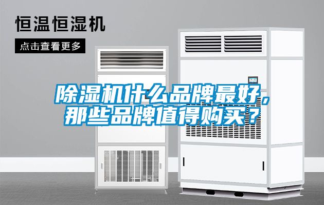 除濕機(jī)什么品牌最好，那些品牌值得購買？