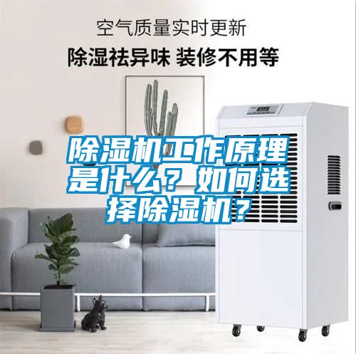 除濕機(jī)工作原理是什么？如何選擇除濕機(jī)？