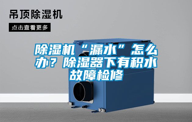 除濕機“漏水”怎么辦？除濕器下有積水故障檢修