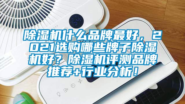 除濕機(jī)什么品牌最好，2021選購哪些牌子除濕機(jī)好？除濕機(jī)評測品牌推薦+行業(yè)分析！