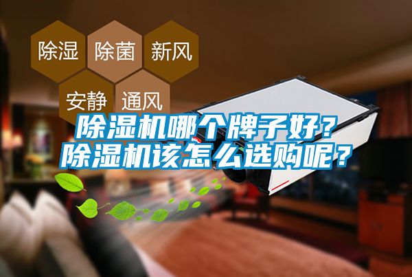 除濕機哪個牌子好？除濕機該怎么選購呢？