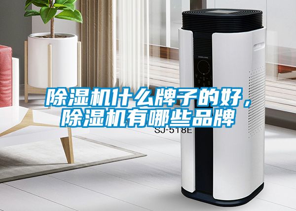 除濕機什么牌子的好，除濕機有哪些品牌