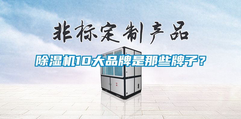 除濕機10大品牌是那些牌子？