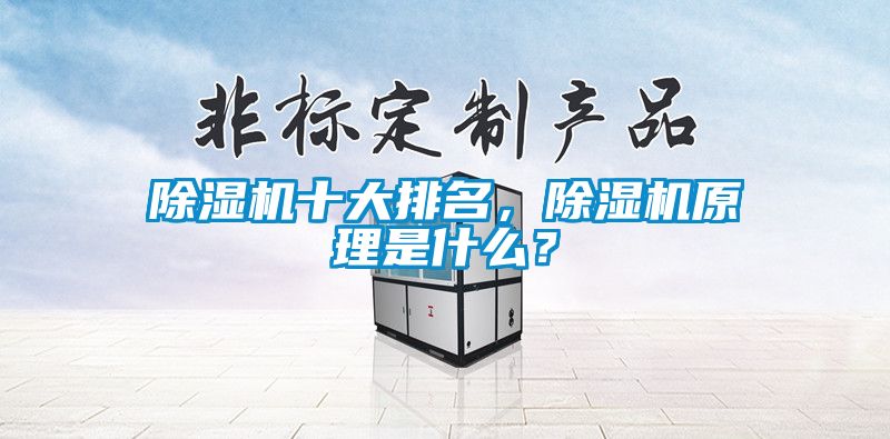 除濕機(jī)十大排名，除濕機(jī)原理是什么？