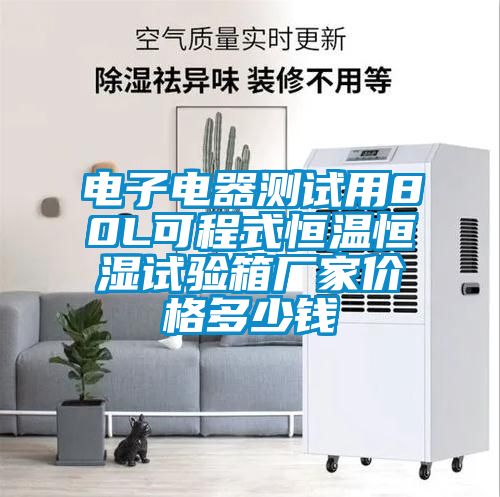 電子電器測(cè)試用80L可程式恒溫恒濕試驗(yàn)箱廠家價(jià)格多少錢