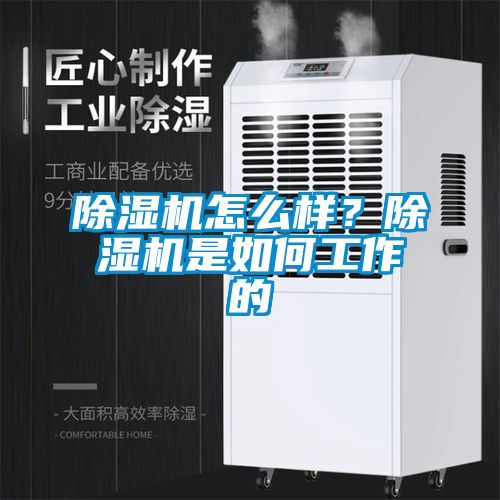 除濕機(jī)怎么樣？除濕機(jī)是如何工作的