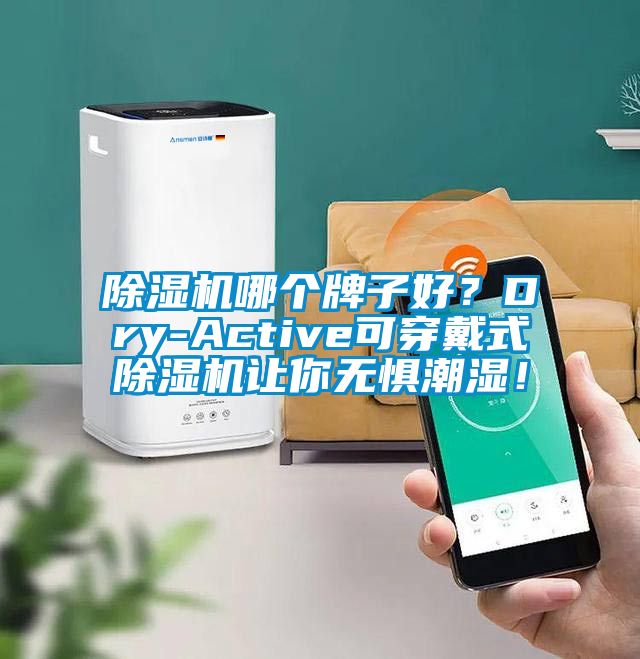 除濕機哪個牌子好？Dry-Active可穿戴式除濕機讓你無懼潮濕！