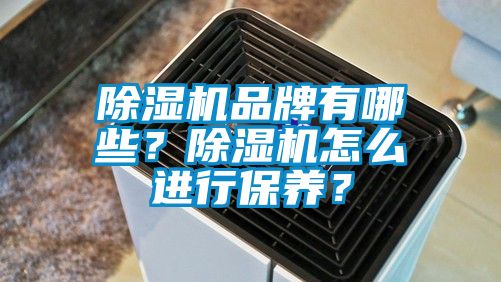 除濕機品牌有哪些？除濕機怎么進行保養(yǎng)？