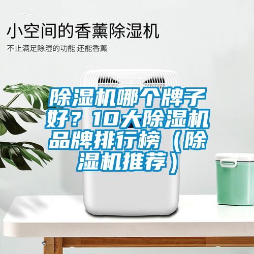 除濕機哪個牌子好？10大除濕機品牌排行榜（除濕機推薦）