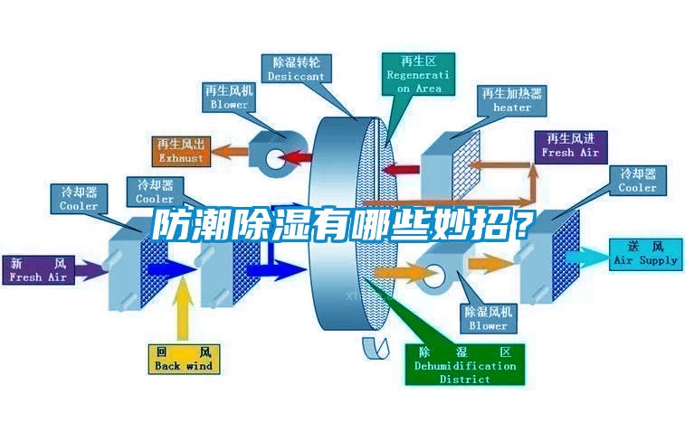 防潮除濕有哪些妙招？