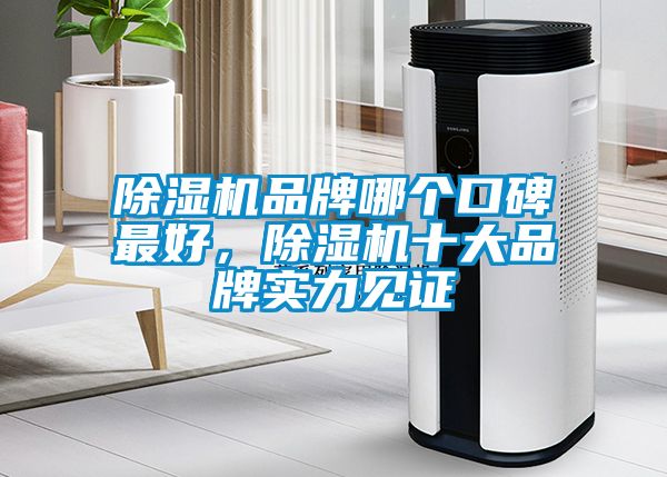 除濕機(jī)品牌哪個(gè)口碑最好，除濕機(jī)十大品牌實(shí)力見證