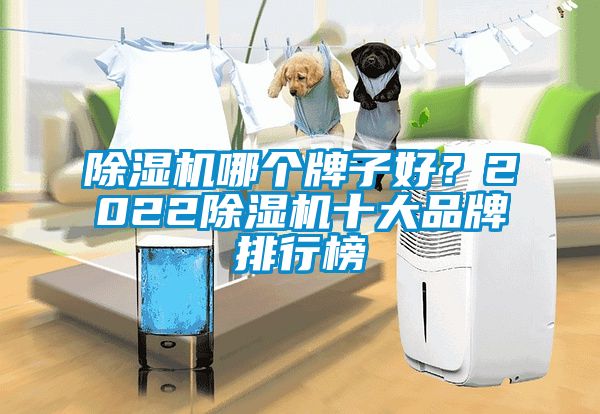 除濕機(jī)哪個牌子好？2022除濕機(jī)十大品牌排行榜