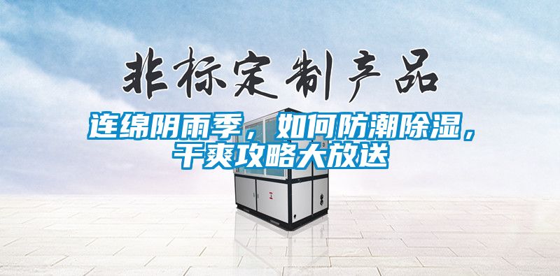 連綿陰雨季，如何防潮除濕，干爽攻略大放送