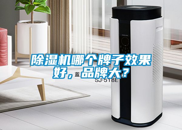 除濕機哪個牌子效果好，品牌大？