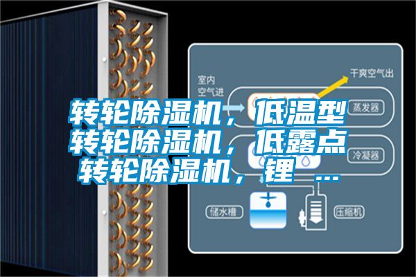 轉(zhuǎn)輪除濕機(jī)，低溫型轉(zhuǎn)輪除濕機(jī)，低露點(diǎn)轉(zhuǎn)輪除濕機(jī)，鋰 ...