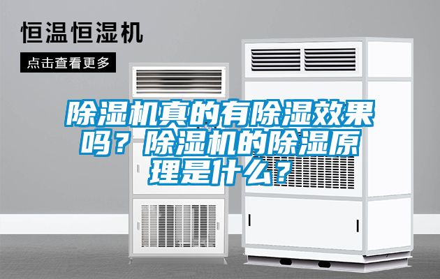 除濕機真的有除濕效果嗎？除濕機的除濕原理是什么？