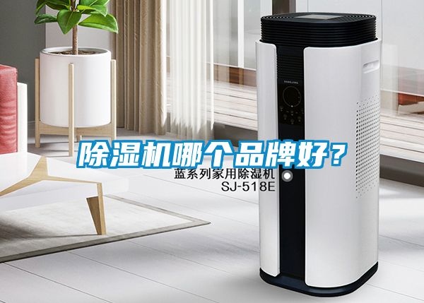 除濕機哪個品牌好？