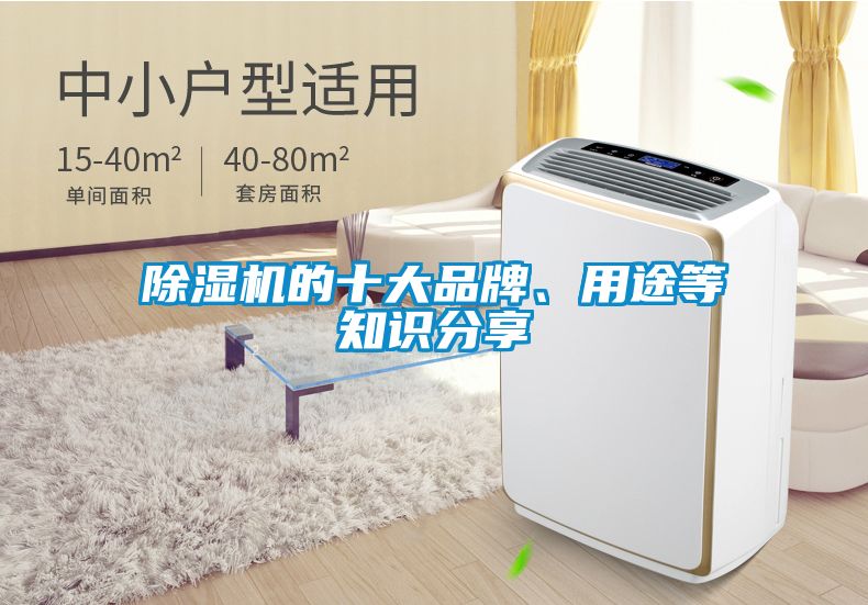 除濕機的十大品牌、用途等知識分享