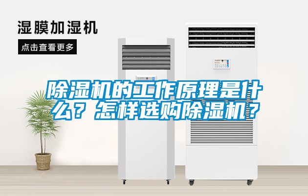 除濕機(jī)的工作原理是什么？怎樣選購(gòu)除濕機(jī)？