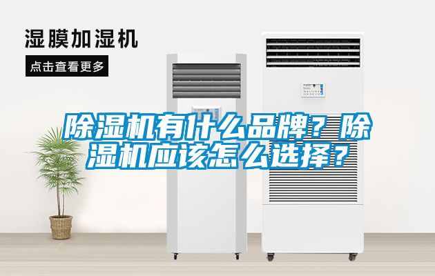 除濕機有什么品牌？除濕機應(yīng)該怎么選擇？