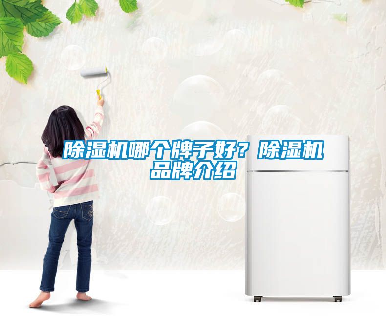 除濕機哪個牌子好？除濕機品牌介紹