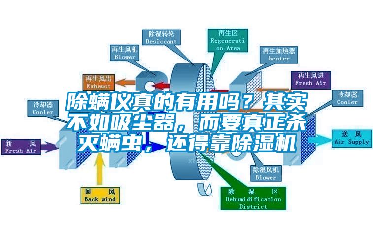 除螨儀真的有用嗎？其實不如吸塵器，而要真正殺滅螨蟲，還得靠除濕機